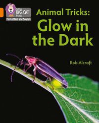Cover image for Animal Tricks: Glow in the Dark: Band 06/Orange