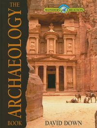 Cover image for The Archaeology Book