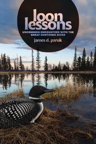 Cover image for Loon Lessons: Uncommon Encounters with the Great Northern Diver