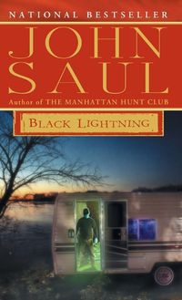 Cover image for Black Lightning: A Novel