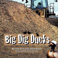 Cover image for Big Dig Ducks