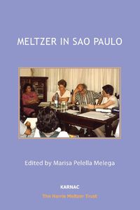 Cover image for Meltzer in Sao Paulo
