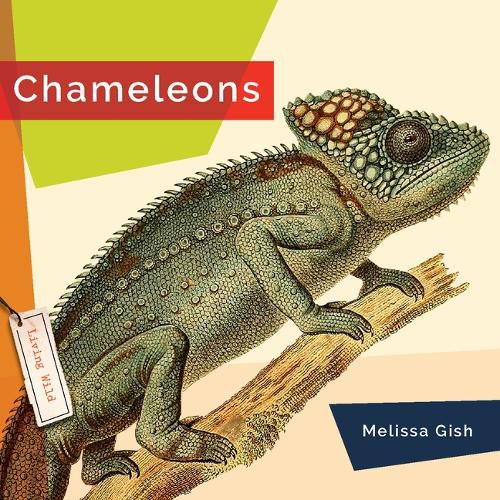 Chameleons