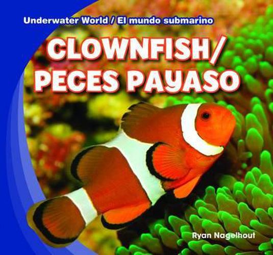 Clownfish / Peces Payaso