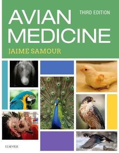 Cover image for Avian Medicine