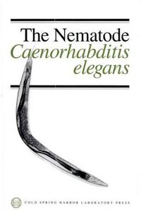 Cover image for Nematode, Caenorhabditis Elegans