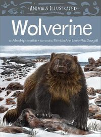 Cover image for Animals Illustrated: Wolverine