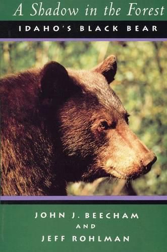 Cover image for A Shadow in the Forest: Idaho's Black Bear