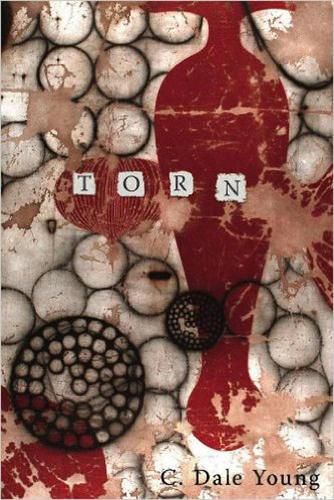 Cover image for Torn