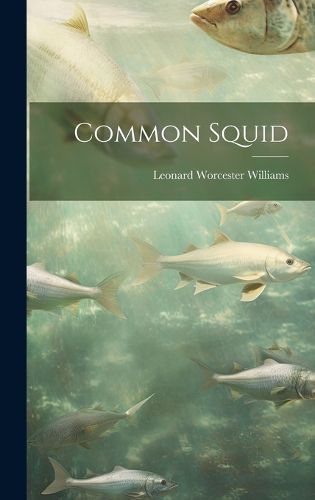 Cover image for Common Squid