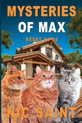 Cover image for Mysteries of Max