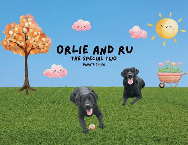 Cover image for Orlie and Ru - The Special Two