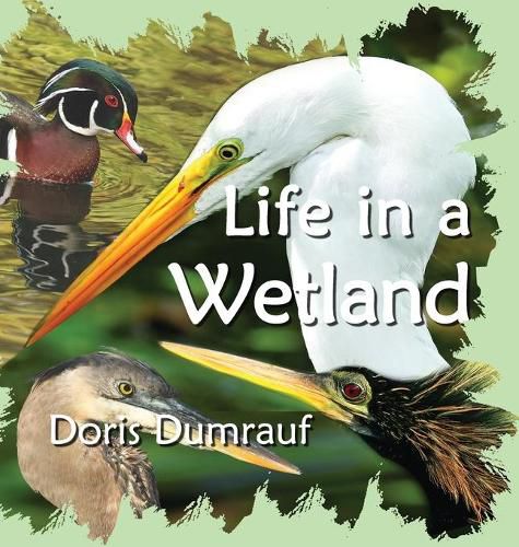 Cover image for Life In A Wetland