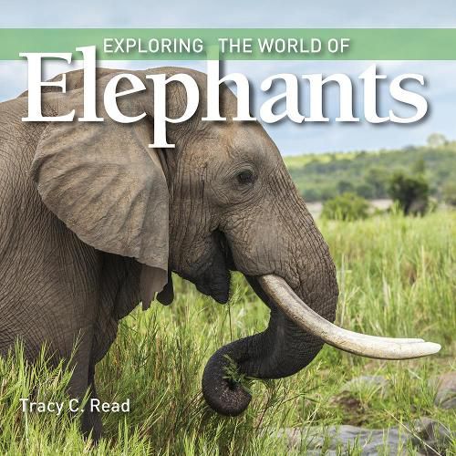 Exploring the World of Elephants