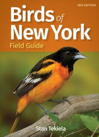 Cover image for Birds of New York Field Guide