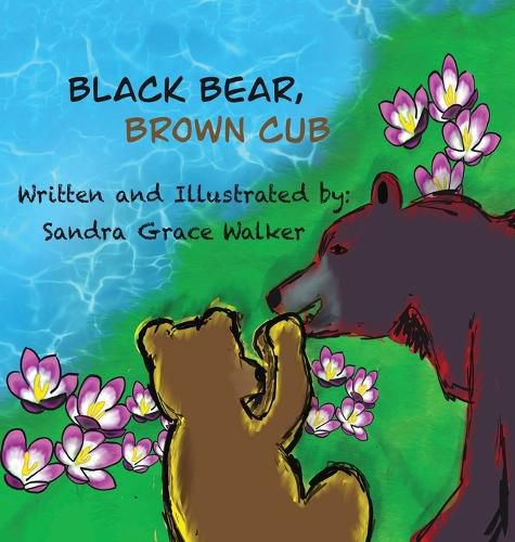 Cover image for Black Bear, Brown Cub