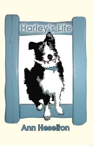 Cover image for Harley's Life