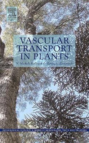 Cover image for Vascular Transport in Plants