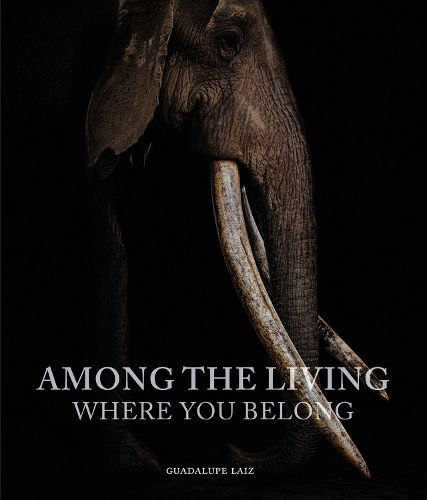 Cover image for Among the Living