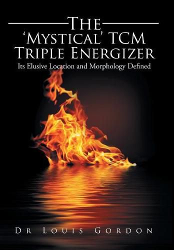 Cover image for The 'Mystical' TCM Triple Energizer: Its Elusive Location and Morphology Defined