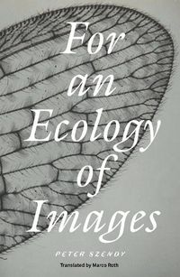 Cover image for For an Ecology of Images