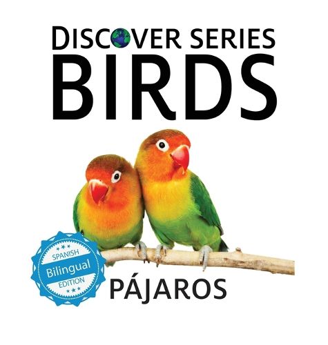 Birds / Pajaros