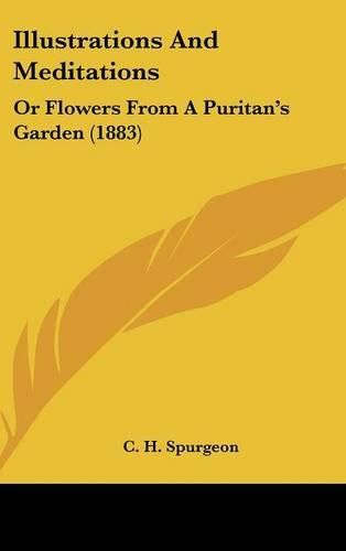 Cover image for Illustrations and Meditations: Or Flowers from a Puritan's Garden (1883)