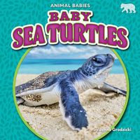 Cover image for Baby Sea Turtles