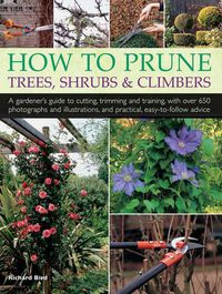 Cover image for How to Prune Trees, Shrubs & Climbers