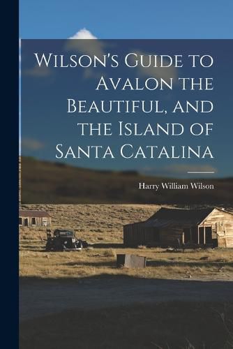 Cover image for Wilson's Guide to Avalon the Beautiful, and the Island of Santa Catalina