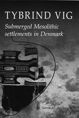 Cover image for Tybrind Vig: Submerged Mesolithic Settlements in Denmark