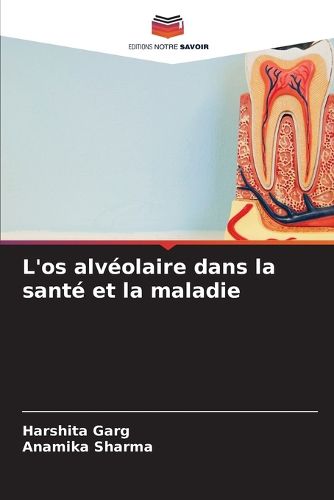 Cover image for L'os alveolaire dans la sante et la maladie