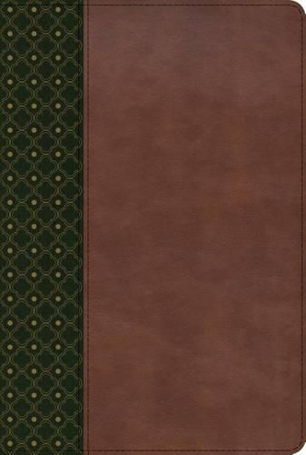 Cover image for RVR 1960 Biblia de Estudio Scofield, verde oscuro/castano simil piel