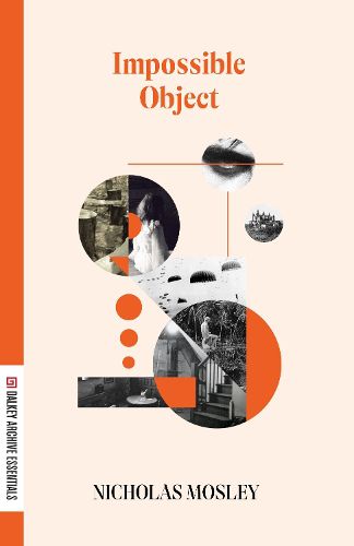 Cover image for Impossible Object