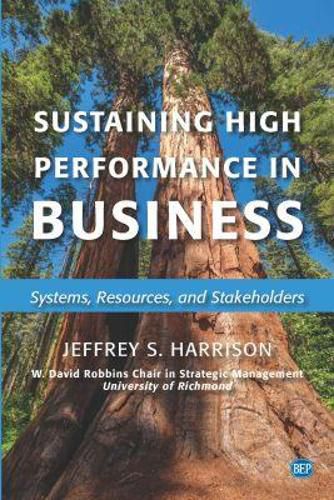 Cover image for Sustaining High Performance in Business: Systems, Resources, and Stakeholders