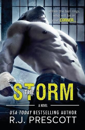 Cover image for The Storm