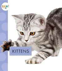 Cover image for Kittens