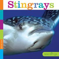 Cover image for Seedlings: Stingrays