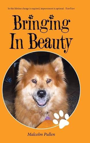 Cover image for Bringing In Beauty