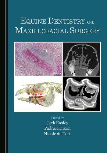 Cover image for Equine Dentistry and Maxillofacial Surgery