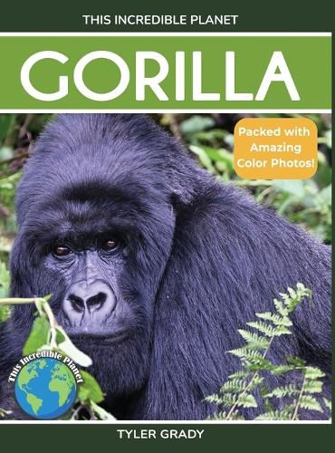 Cover image for Gorilla