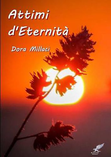 Cover image for Attimi d'Eternita