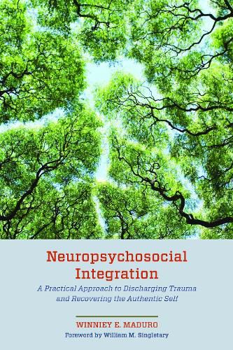 Cover image for Neuropsychosocial Integration