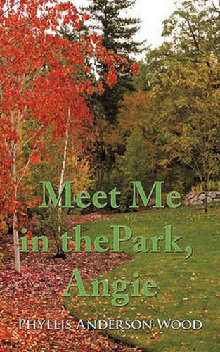 Cover image for Meet Me in the Park, Angie