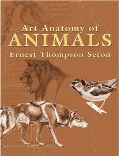 Cover image for Art Anatomy of Animals