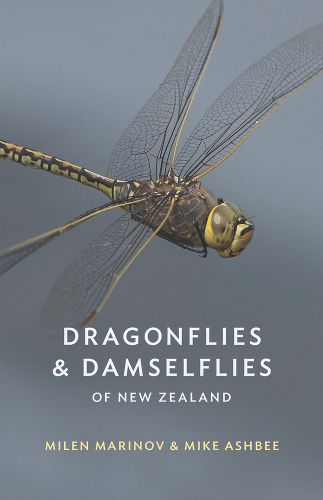 Cover image for Dragonflies and Damselflies of New Zealand