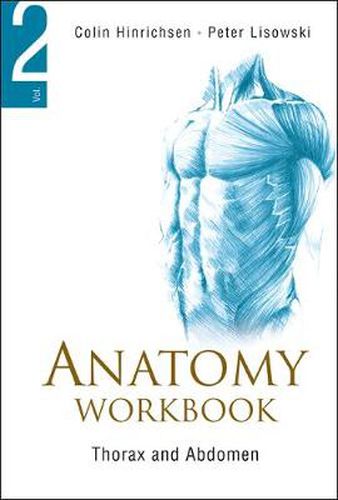 Cover image for Anatomy Workbook - Volume 2: Thorax And Abdomen