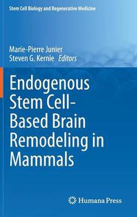 Cover image for Endogenous Stem Cell-Based Brain Remodeling in Mammals