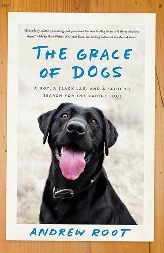 Cover image for The Grace of Dogs: A Boy, a Black Lab, and a Father's Search for the Canine Soul