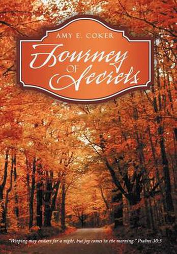 Cover image for Journey of Secrets